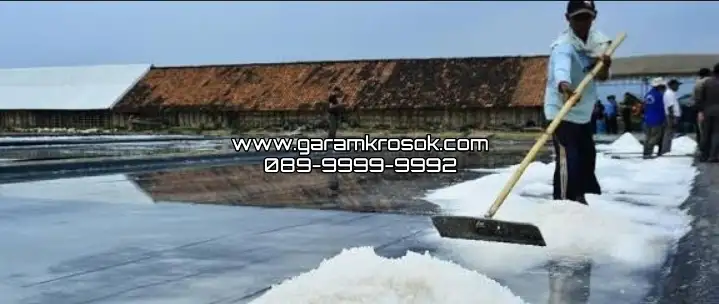 Jual Garam Putih Bersih Sidoarjo untuk Kebutuhan Produksi